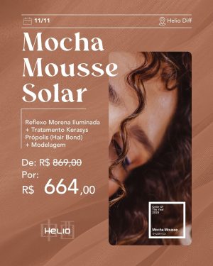 Mocha Mousse Solar (11/11)